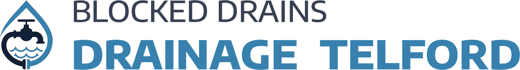 website logo